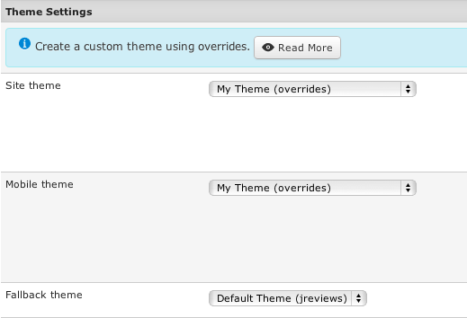 Theme-settings-custom.png